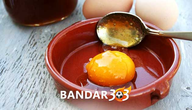 Madu dan Telur Sebagai Penambah Stamina Ayam Bangkok Aduan